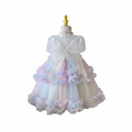 MangoMint Butterfly Rainbow Princess Dress for kids